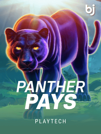 Panther Payspng thumbnail